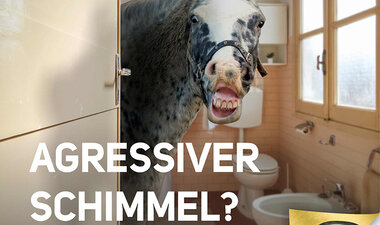 Aggressive mold in the bathroom?
